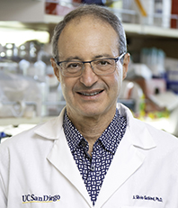 Silvio Gutkind, Ph.D.