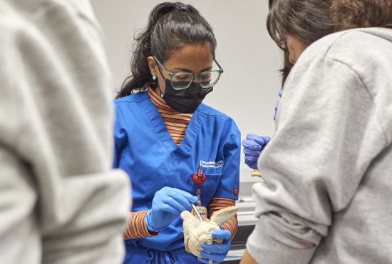 woman in mask and scrubs demonstrating to others