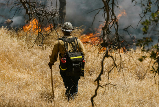 firefighter walking towards a forest fire