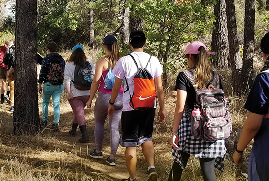 Students hiking on a trail in the forest