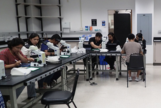 medical students sitting at tables looking in microsopes