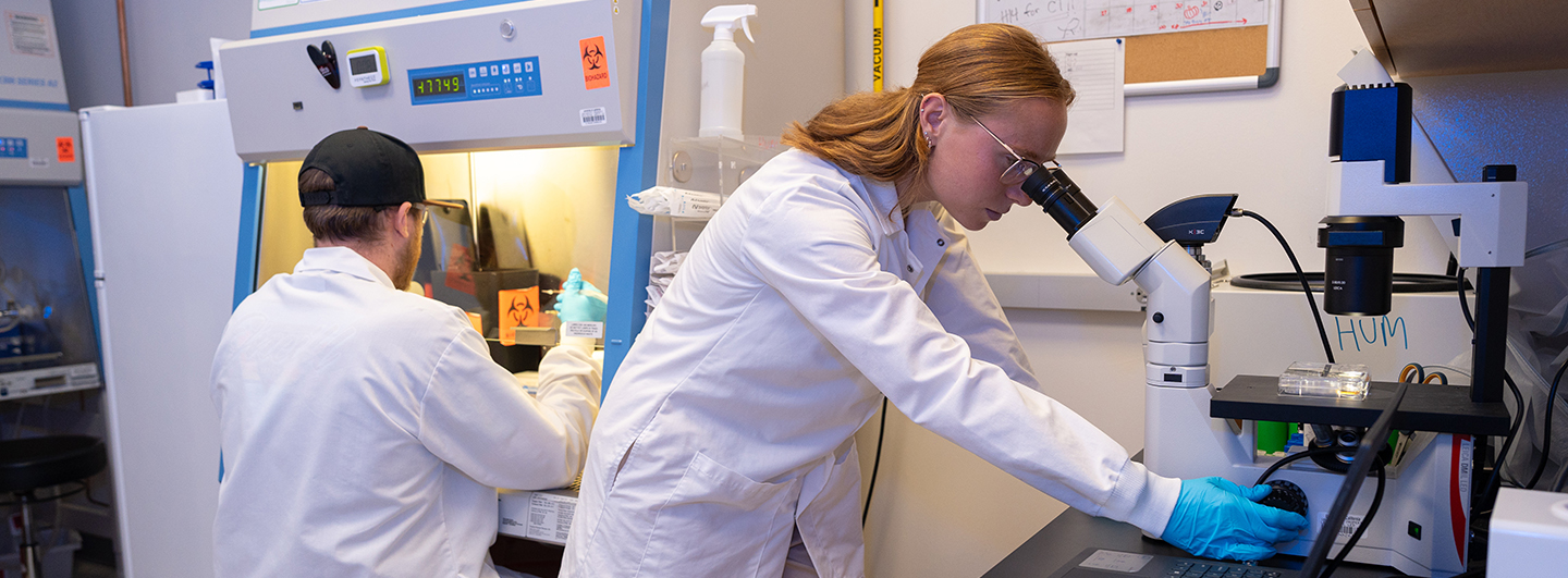 man and woman in a lab. woman looks into a microscope
