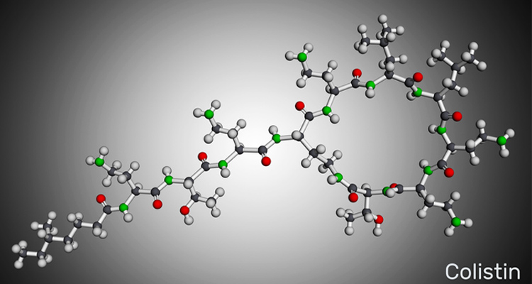 Graphic depiction of Colistin