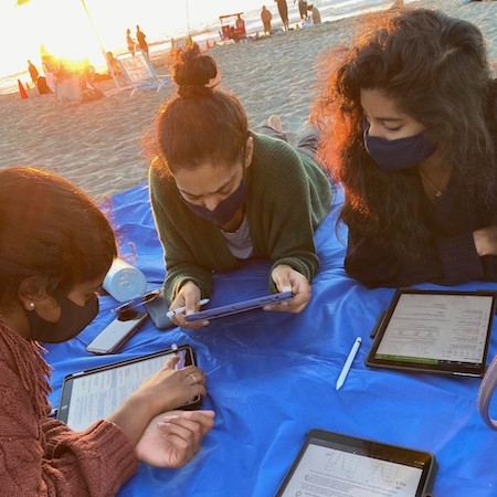 students studying on beach