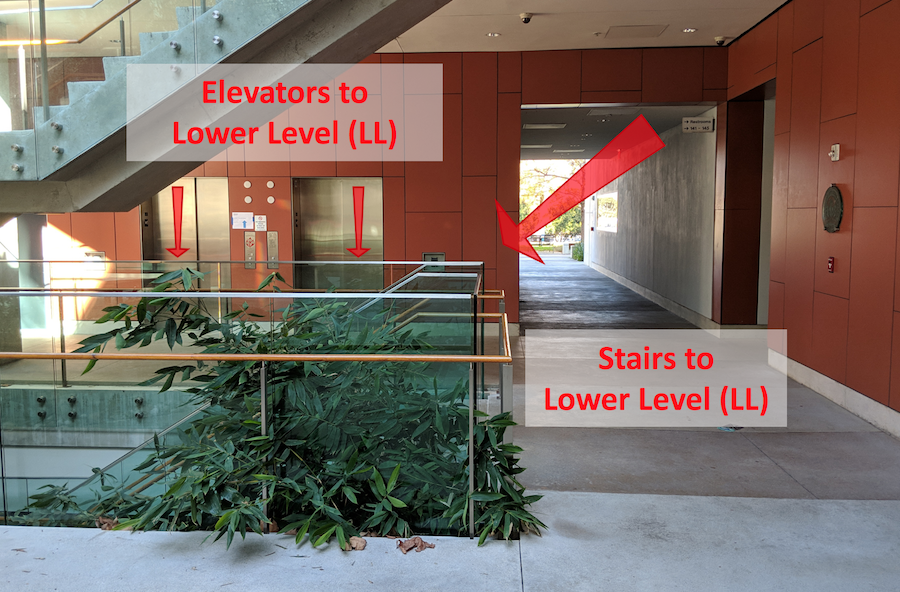 arrows pointing to elevators and stairs to lower level (LL)